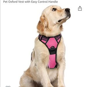 Rabbitgoo dog harness